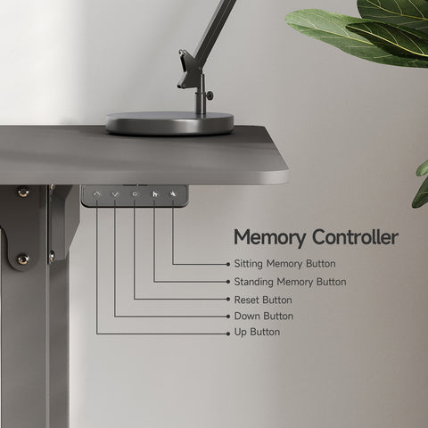 Modern Rectangle Sterling Standing Desk