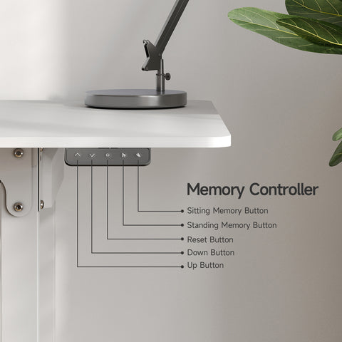 Modern Rectangle Sterling Standing Desk