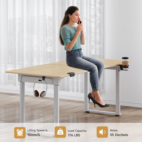 QuadLift Elite Modern Rectangle Sterling Standing Desk