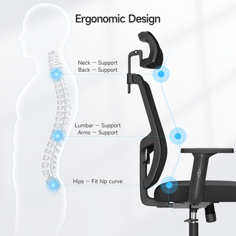 Modern Ergonomic Black Frame Office Chair